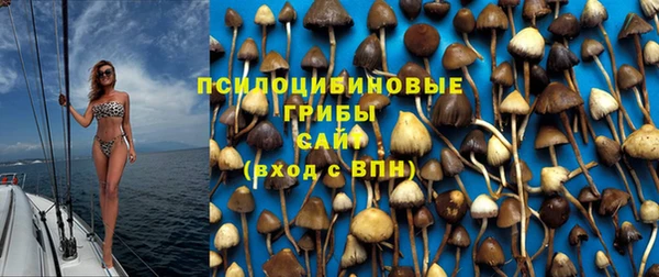 дмт Алзамай
