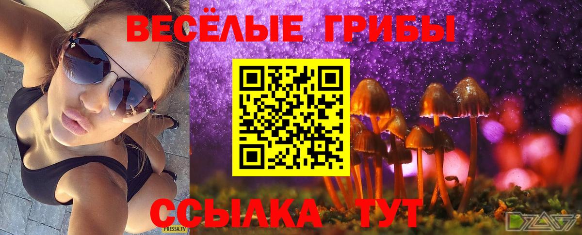 Серов  Галлюциногенные грибы Magic Shrooms  Вход с VPN 